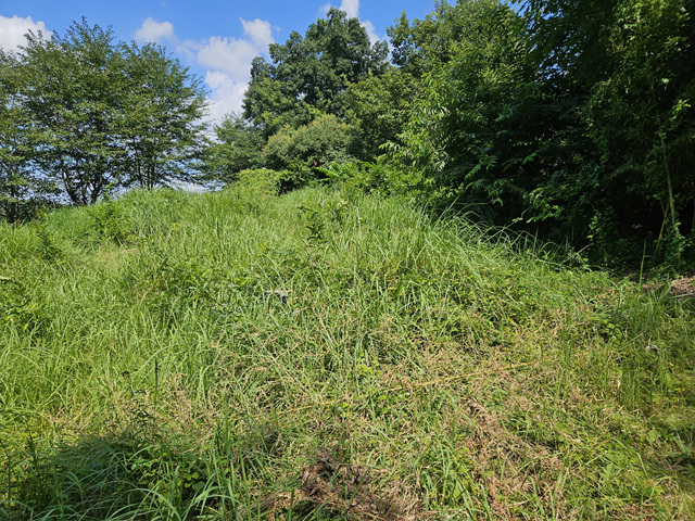 0f5564274ee2008d96d2e51093a16958_1723842903_0916.jpg