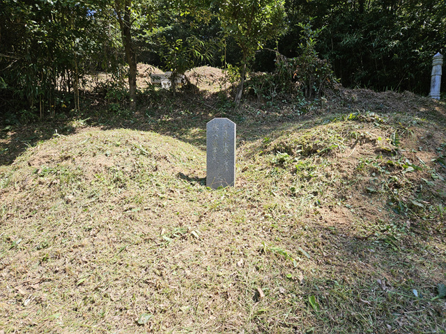 16574f6855d354dbda00a34df64cea93_1726170646_2232.jpg